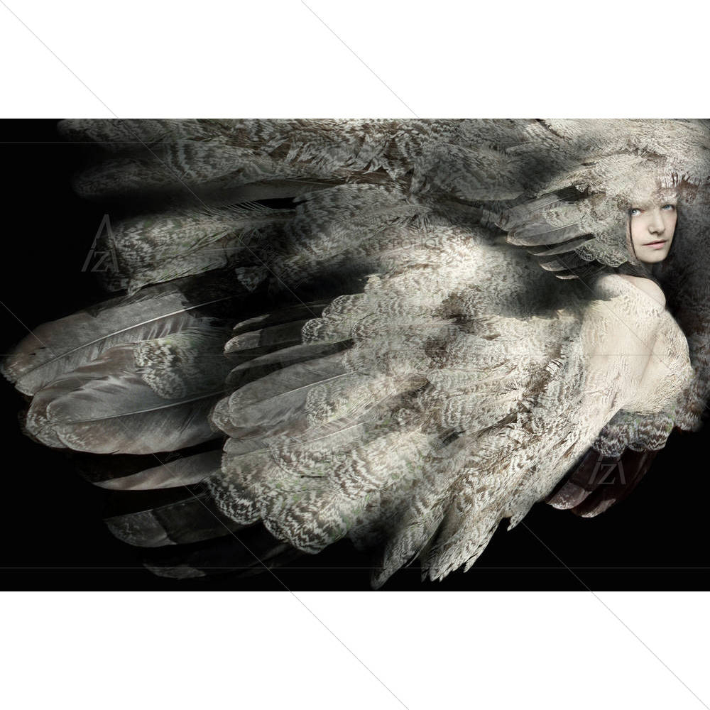 Portrait Of A Girl With Plumage D2 — custom-size art design 5002642