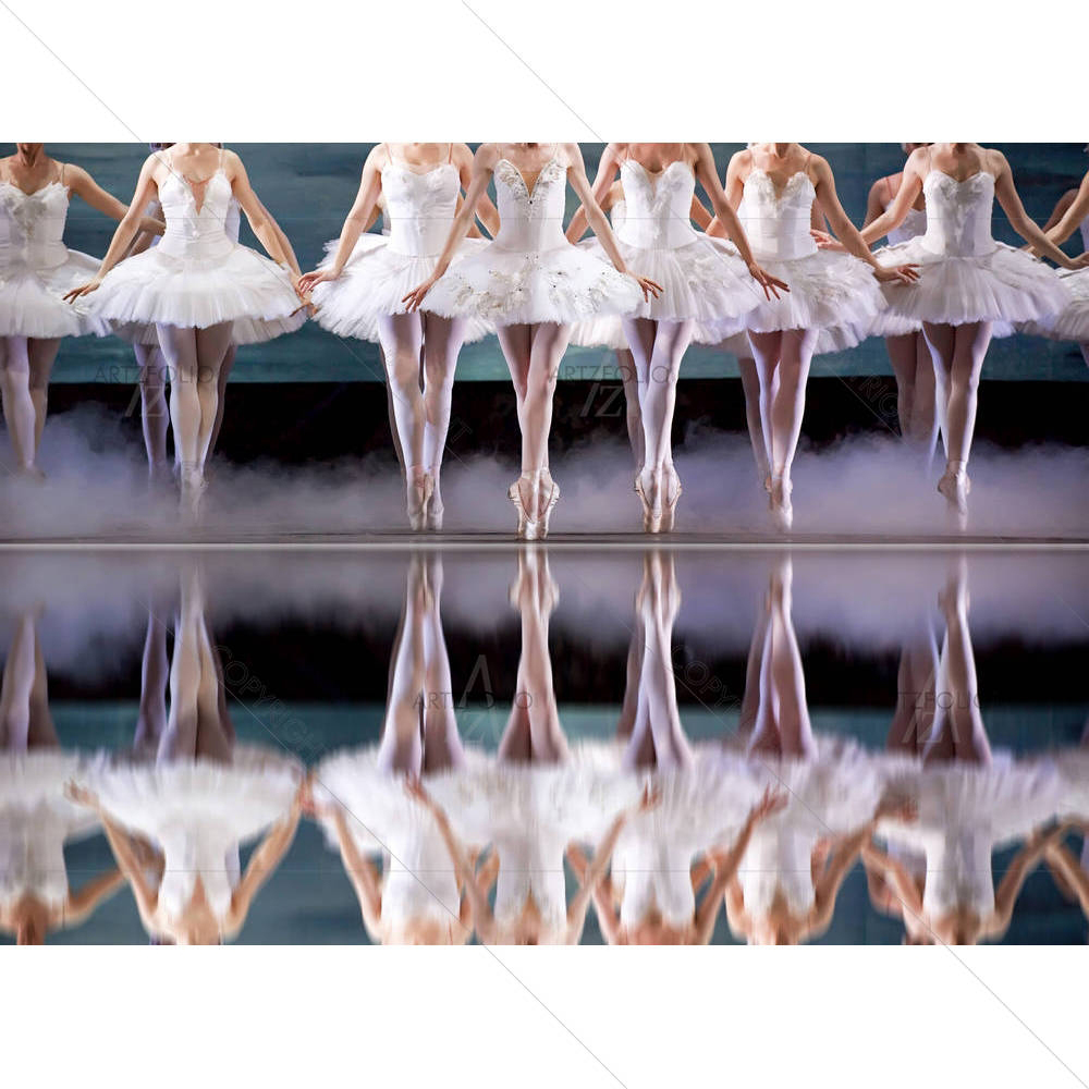 Ballerina — custom-size art design 5002695