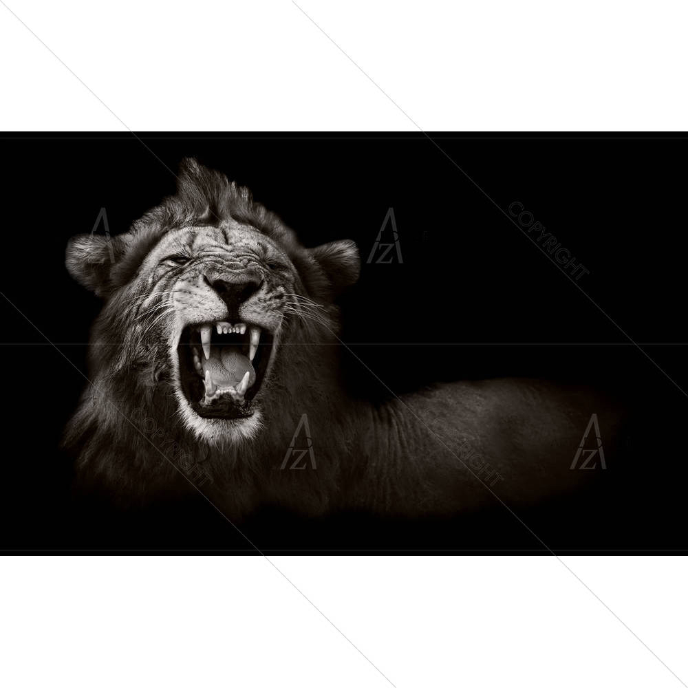 Wild African Male Lion — custom-size art design 5002700