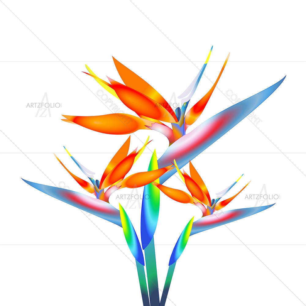 Bird Of Paradise Flower D3 — custom-size art design 5002710