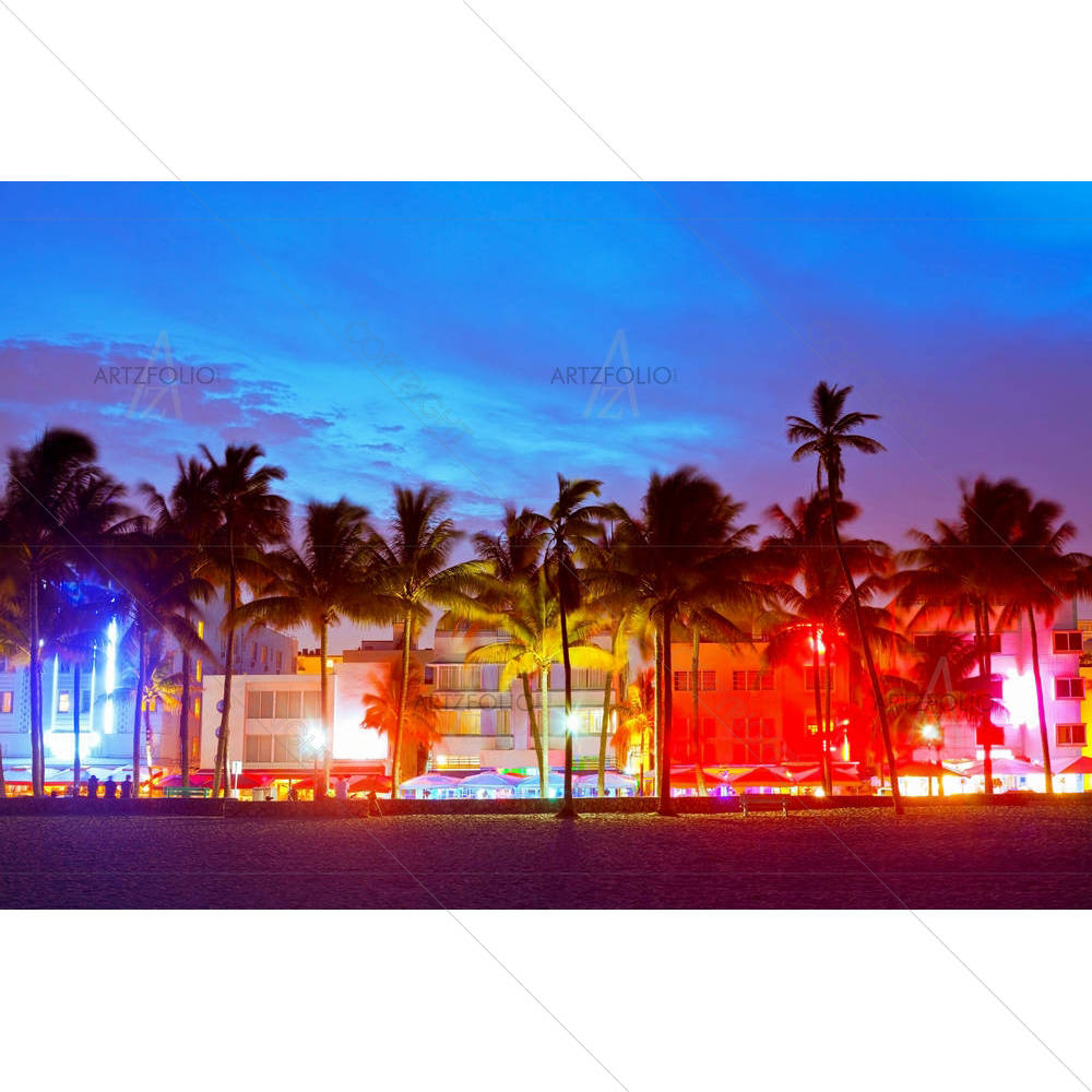 Miami Beach, Florida, USA D2 — custom-size art design 5002713