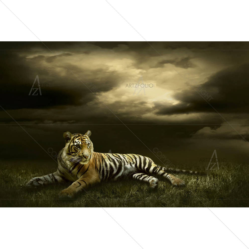Tiger Sitting — African custom art by ArtzFolio
