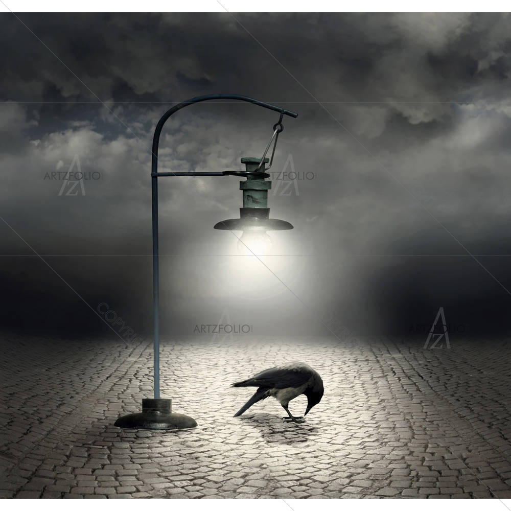 Streetlight That Illuminates A Crow — Fluid marble custom art by ArtzFolio