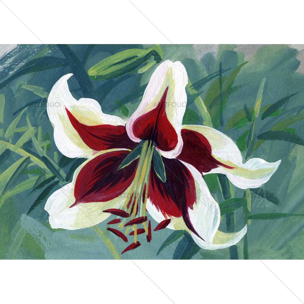 Beautiful Lily Flowers — custom-size art design 5002748