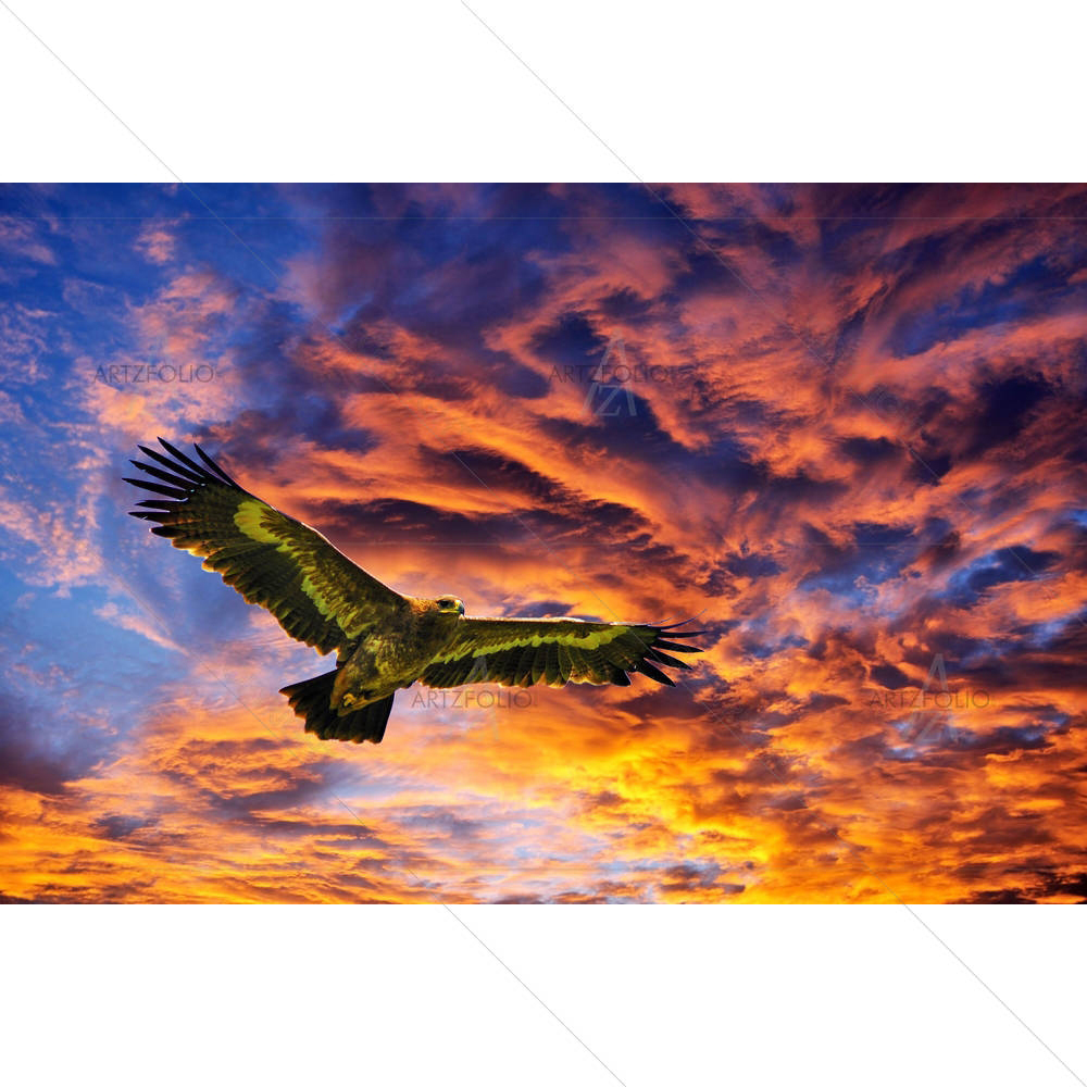 Flying Eagles — custom-size art design 5002757