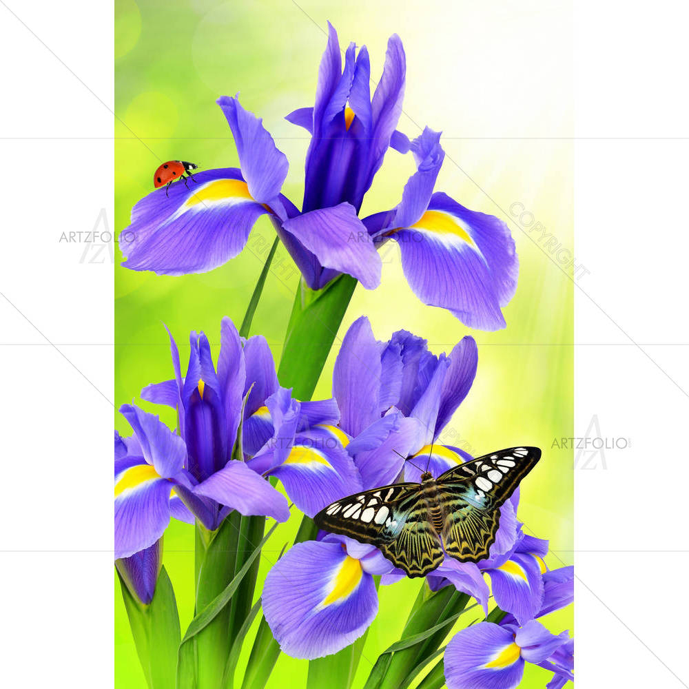 Purple Iris Flower With Butterfly Morpho On Green — custom-size art design 5002811