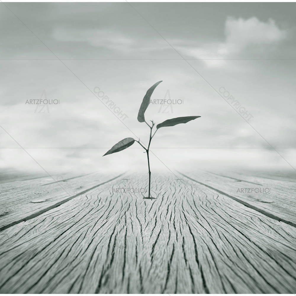 Little Branch With Leaves — custom-size art design 5002824