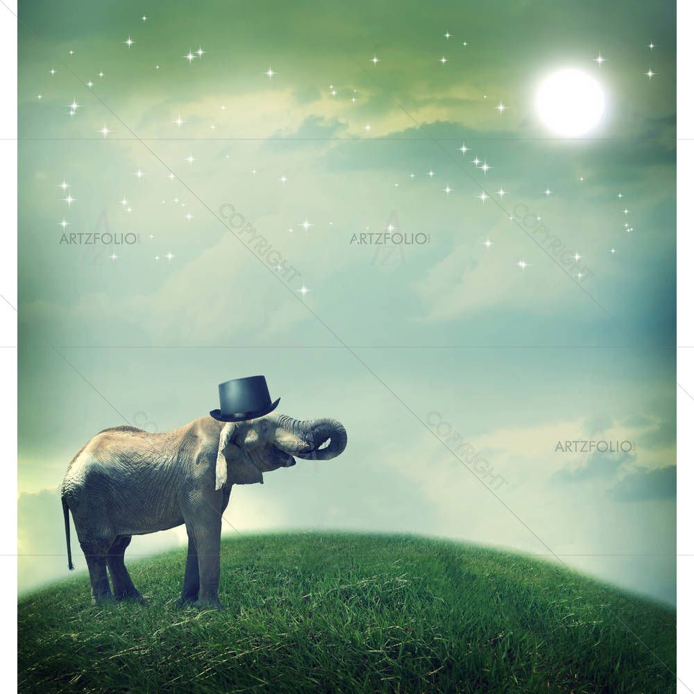 Elephant With Top Hat — Animals custom art by ArtzFolio