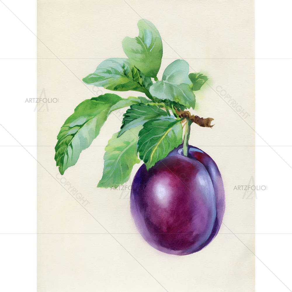 Blue Plum Branch — Botanical custom art by ArtzFolio