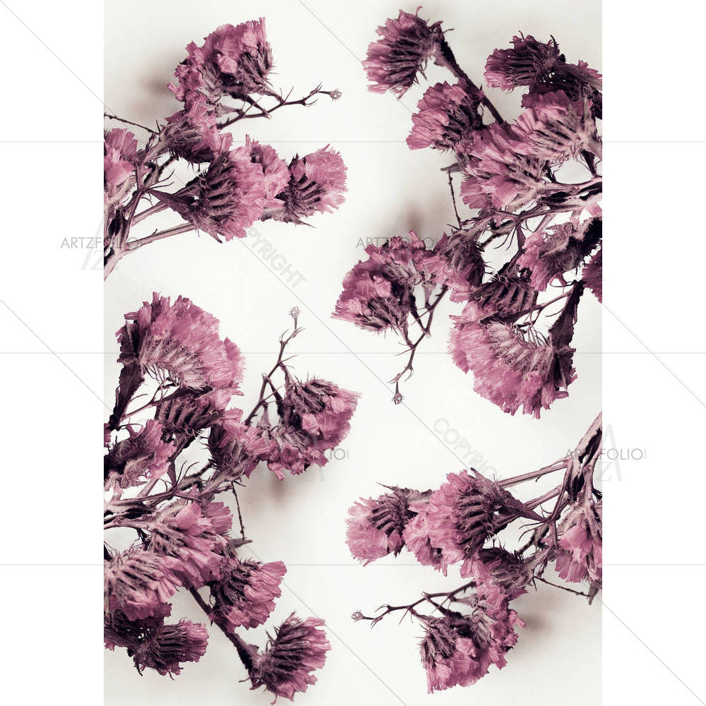 Cyclamen Dried Flowers — custom-size art design 5002897