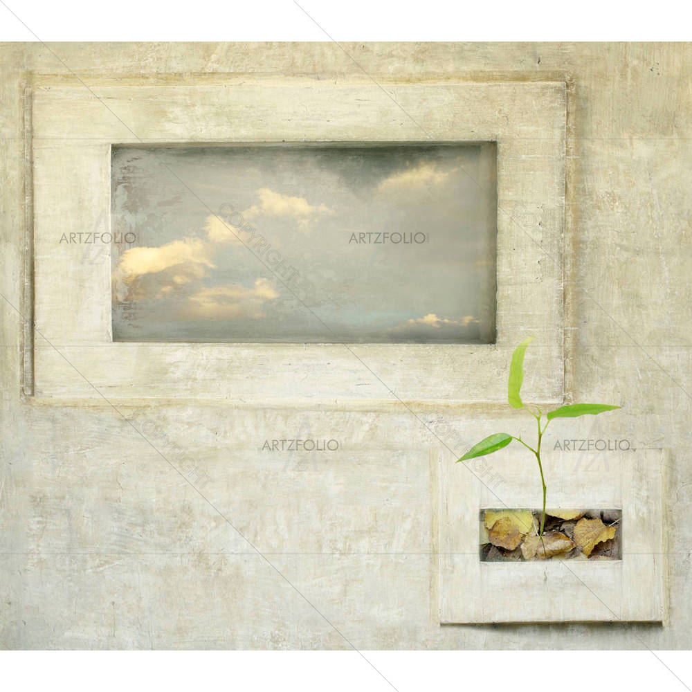 Surreal Window With Sky & Leaves — custom-size art design 5002898