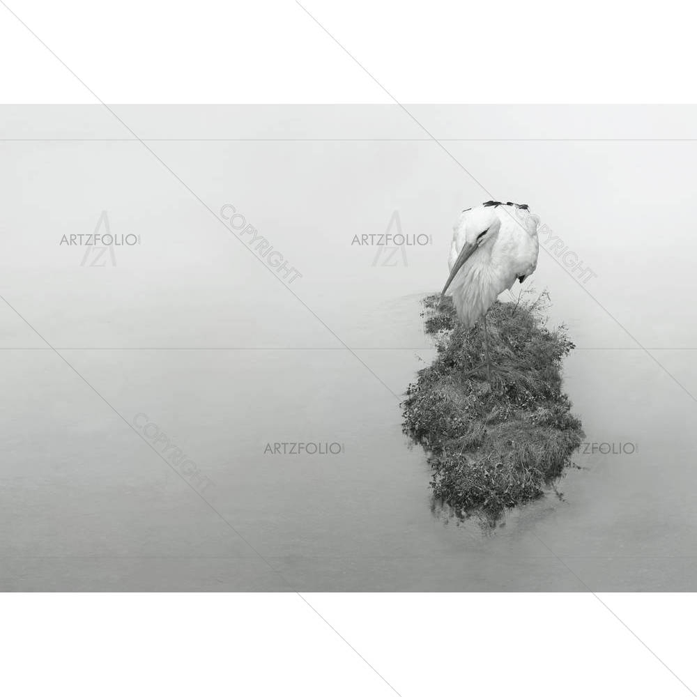 Beautiful Aquatic Bird Crane — custom-size art design 5002899