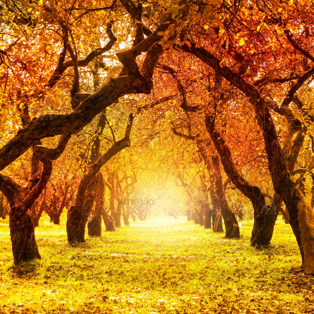 Autumn Landscape D6 — custom-size art design 5002900