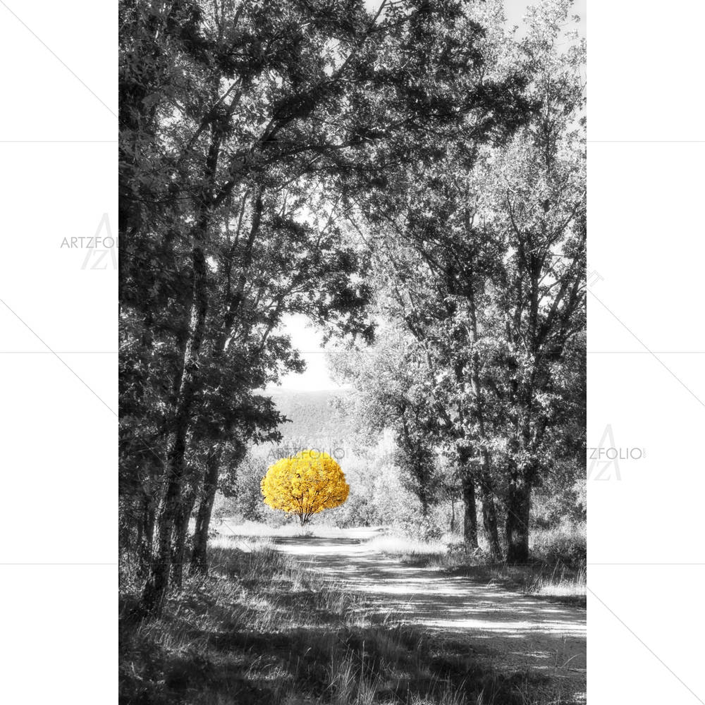 Yellow Tree In The Path — Botanical custom art by ArtzFolio