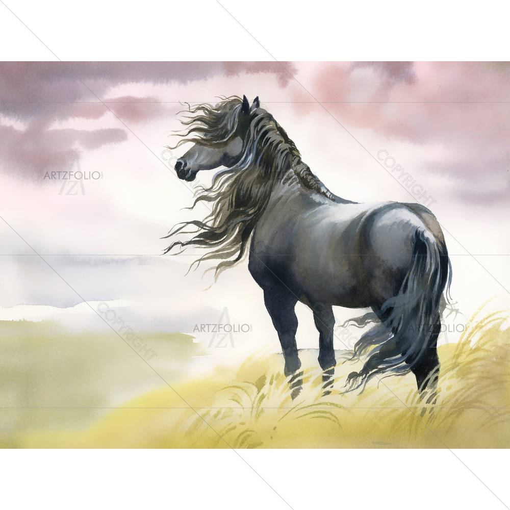 Black Horse In A Field — custom-size art design 5002915
