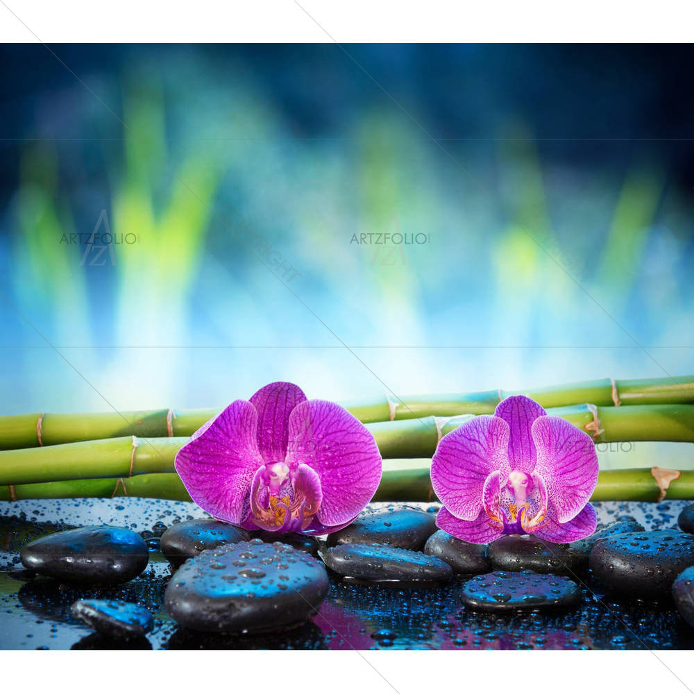 Orchid Garden — custom-size art design 5002928