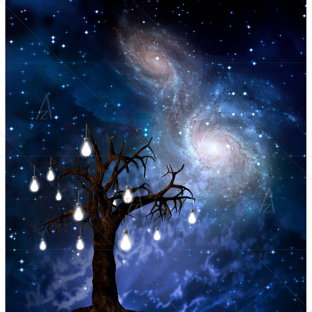 Enlightenment D2 — custom-size art design 5002939