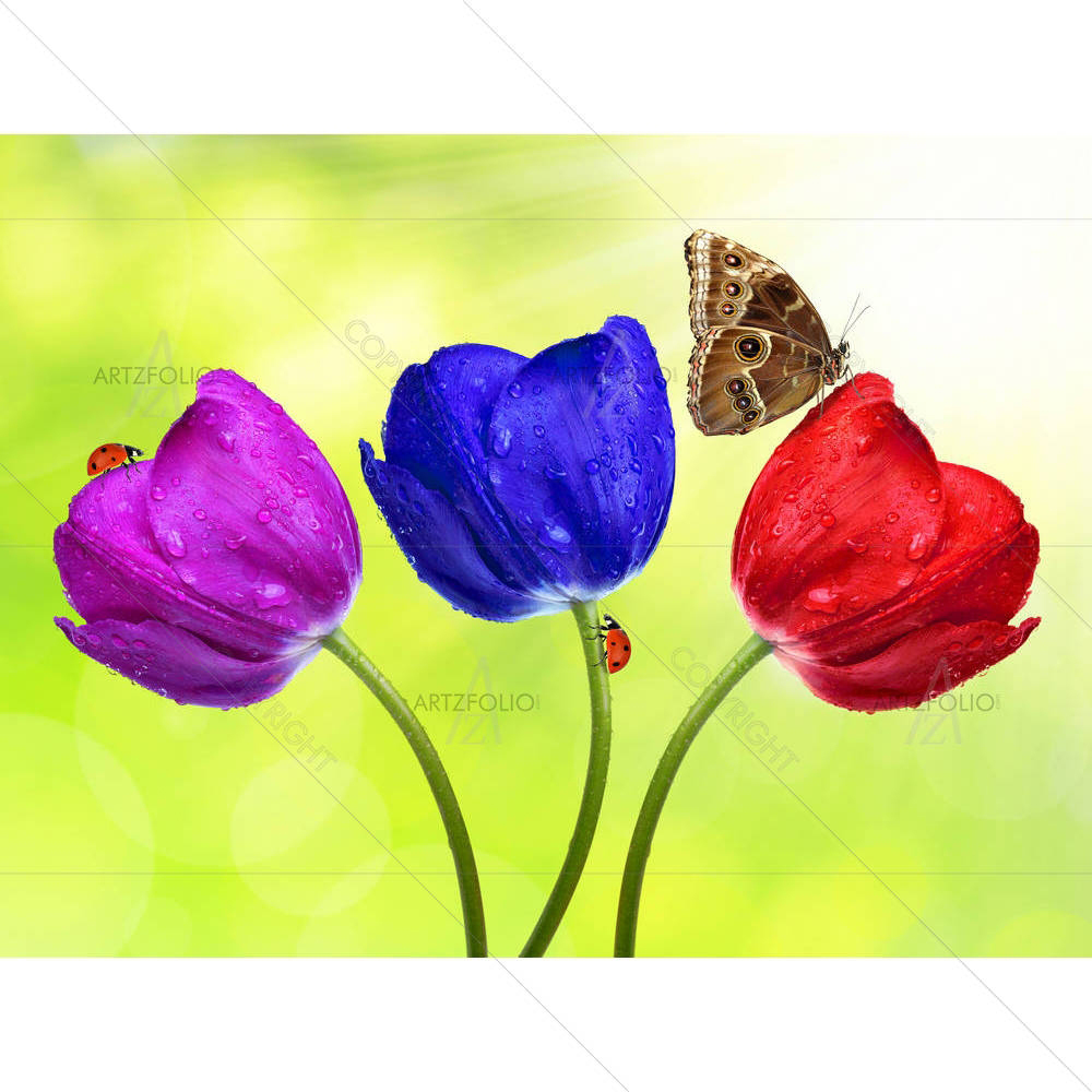 Dewy Colorful Tulips With Butterfly On Green — Botanical custom art by ArtzFolio
