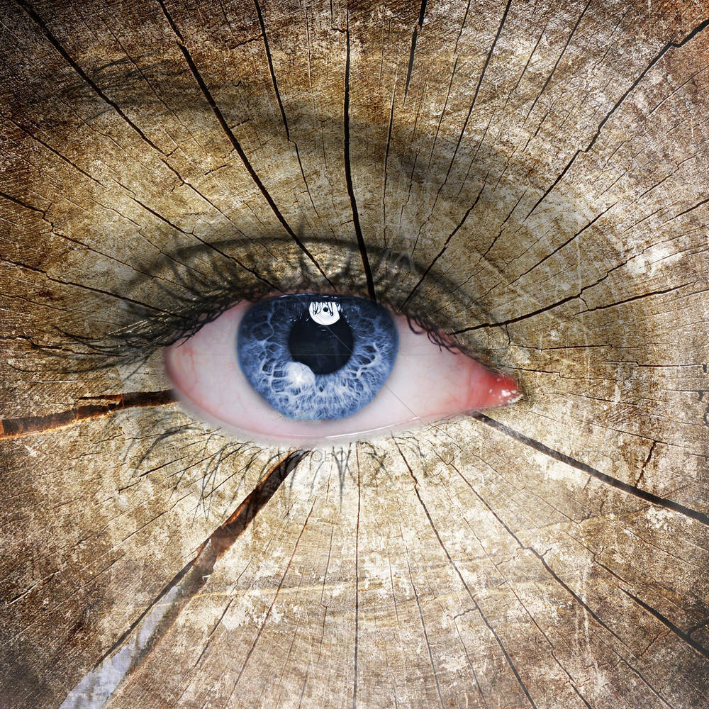 Old Tree Pattern On Woman Face — custom-size art design 5002951