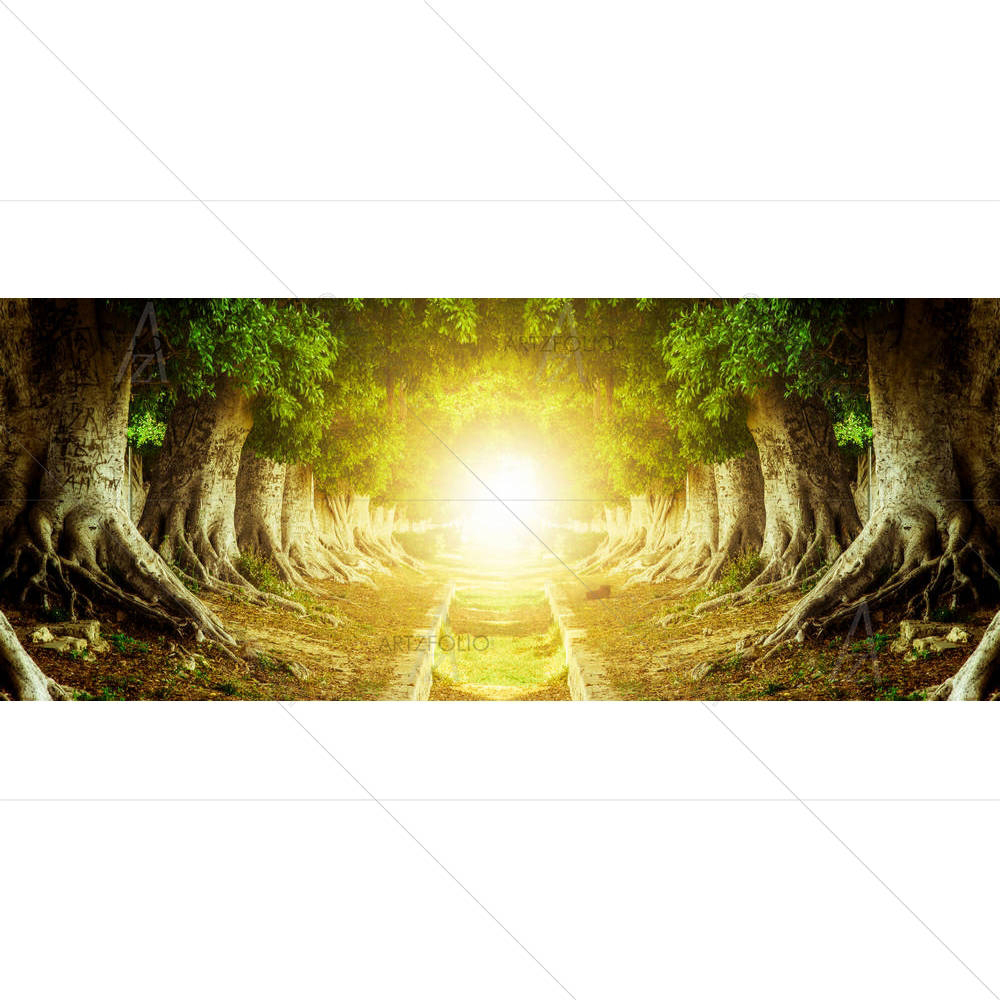 Dark Path Inside Tree Tunnel — custom-size art design 5002957