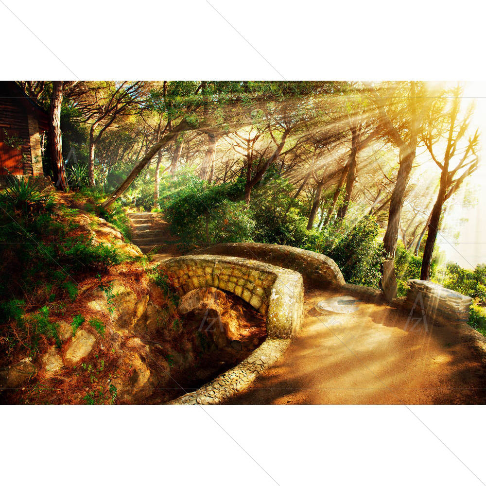 Mystical Park Old Trees — Fluid marble custom art by ArtzFolio