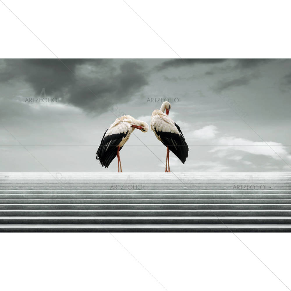 Two Beautiful Waterfowl — custom-size art design 5002976