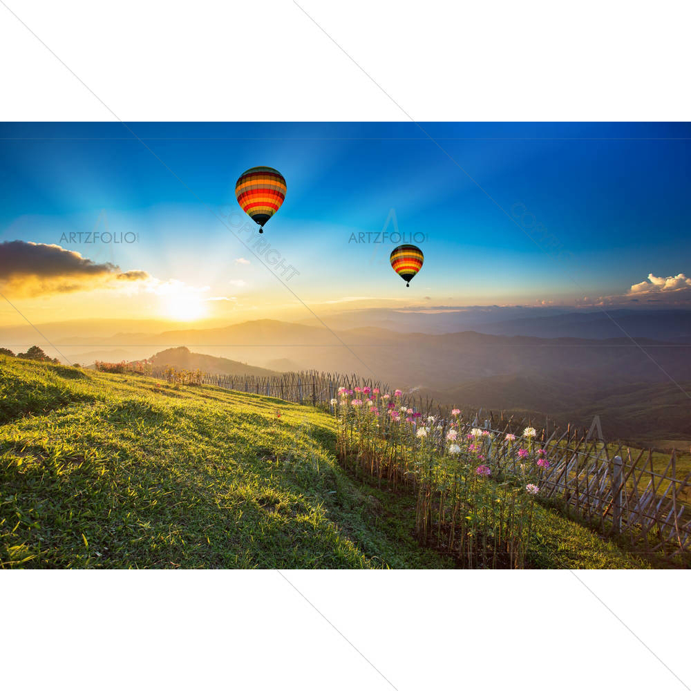 Hot Air Balloon D2 — custom-size art design 5002988