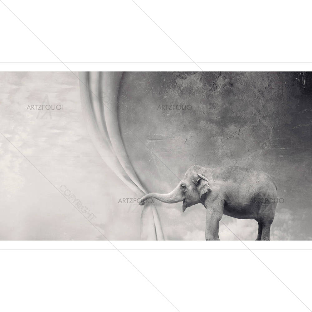 Elephant That Opens A Curtain With Its Trunk — custom-size art design 5003080
