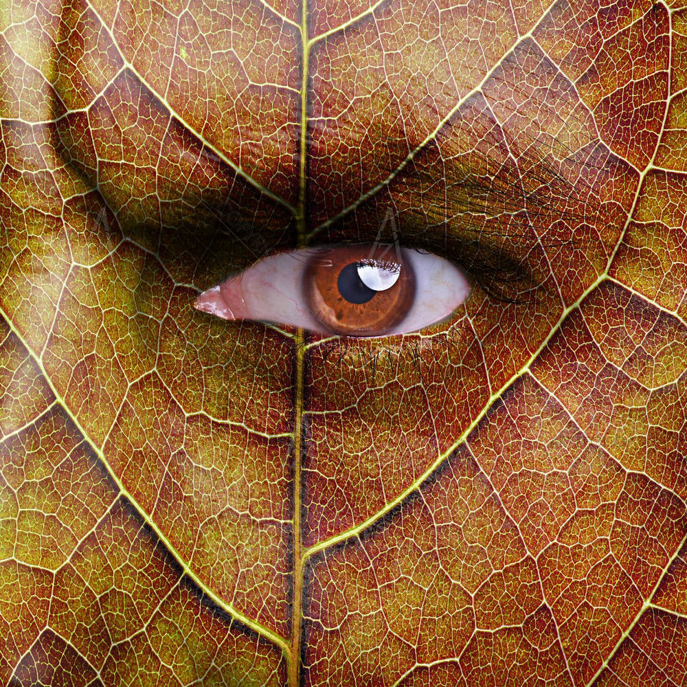 Face With Autumn Leaf — custom-size art design 5003118