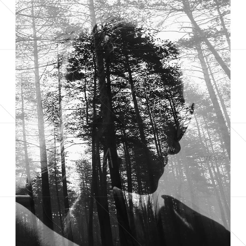 Deep Forest — custom-size art design 5003149