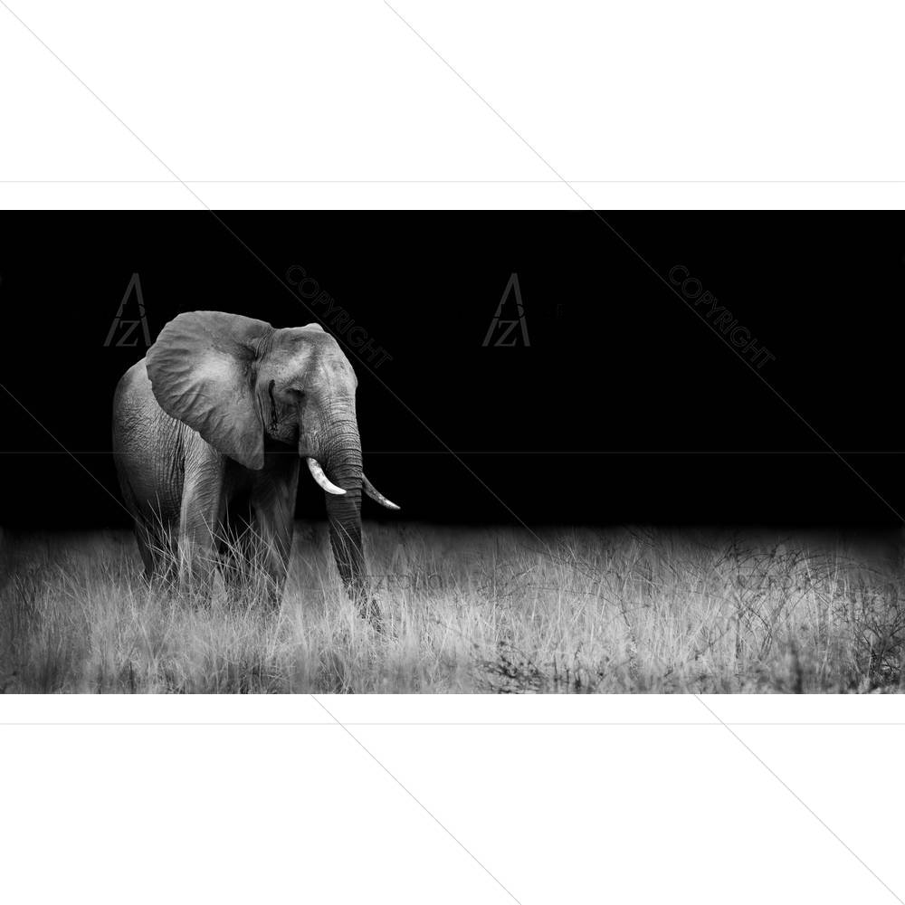 Wild Elephant In The African Savannah — African custom art by ArtzFolio