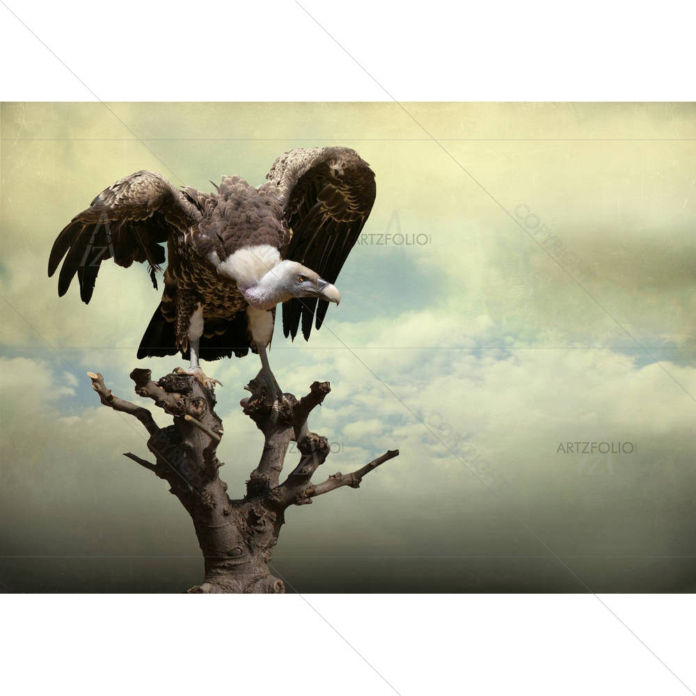 Golden Eagle On A Tree With Opened Wings — custom-size art design 5003197
