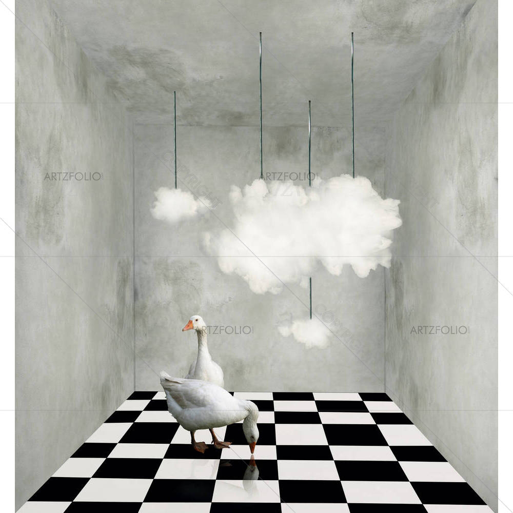 Two Beautiful Ducks On A Checkered Floor — custom-size art design 5003199