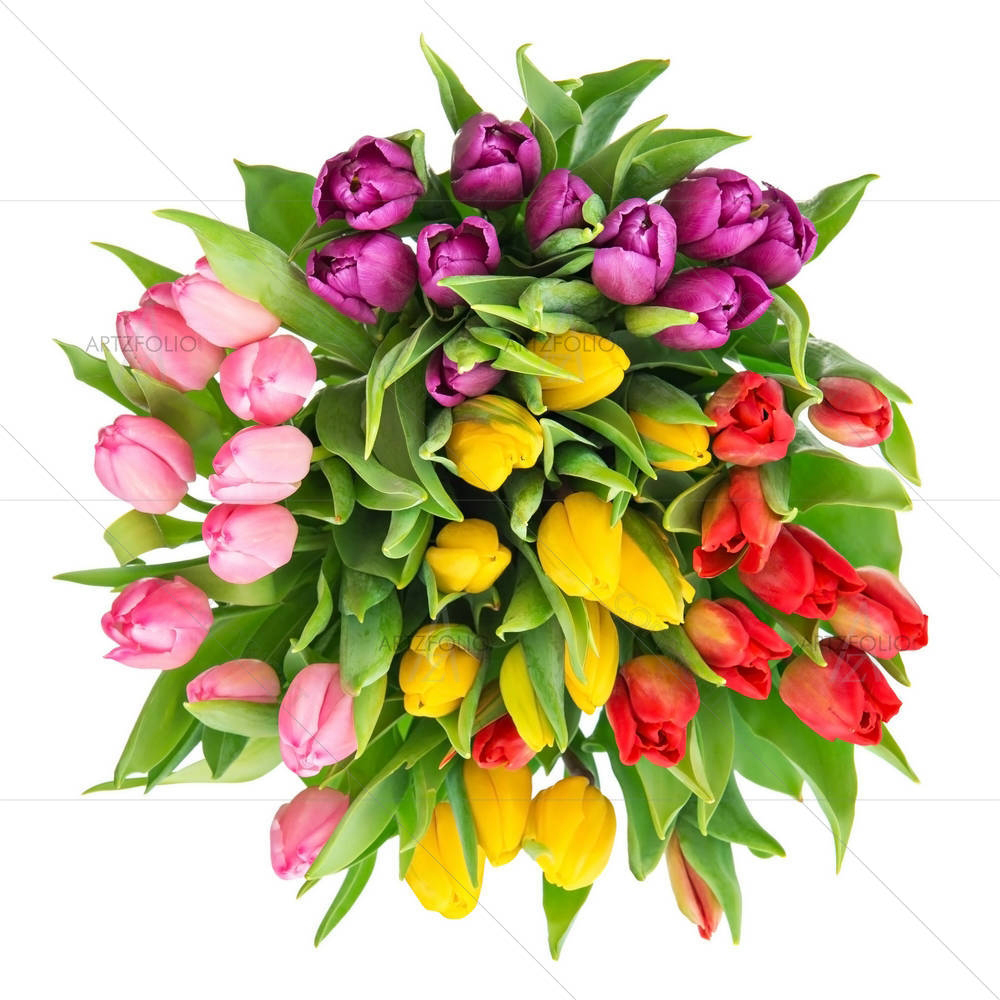 Multicolor Tulips — custom-size art design 5003216