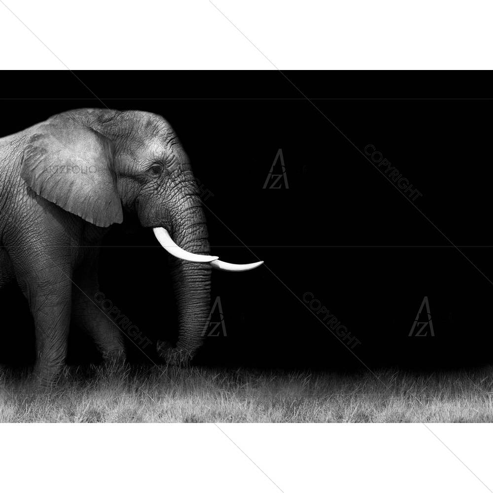 Wild African Elephant D2 — African custom art by ArtzFolio