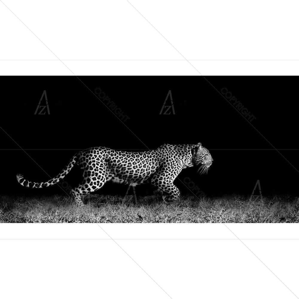 Wild African Leopard — custom-size art design 5003233