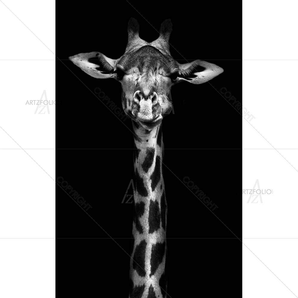 Thornycroft Giraffe — African custom art by ArtzFolio