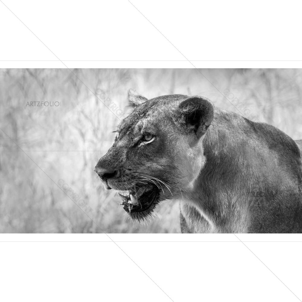 Image Of An African Lion — African custom art by ArtzFolio