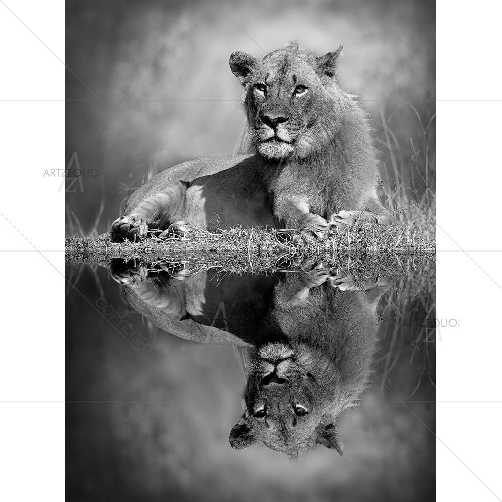 Lion D5 — African custom art by ArtzFolio