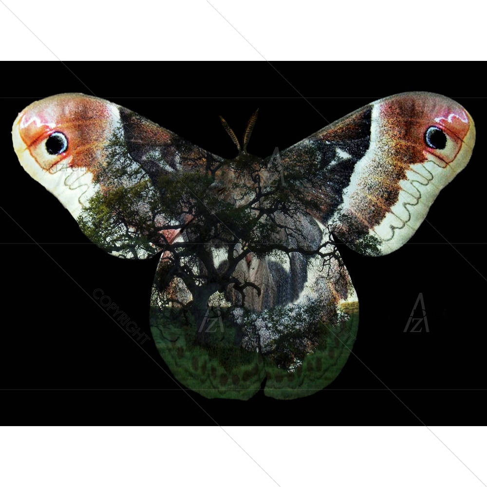 Photo Manipulation of Month & Ancient Oak Trees — Abstract custom art by ArtzFolio