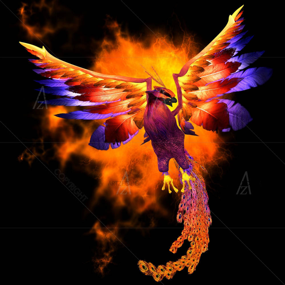Phoenix Bird — Animals custom art by ArtzFolio