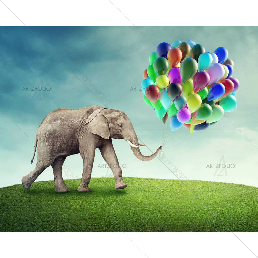 Elephant D7 — custom-size art design 5003262
