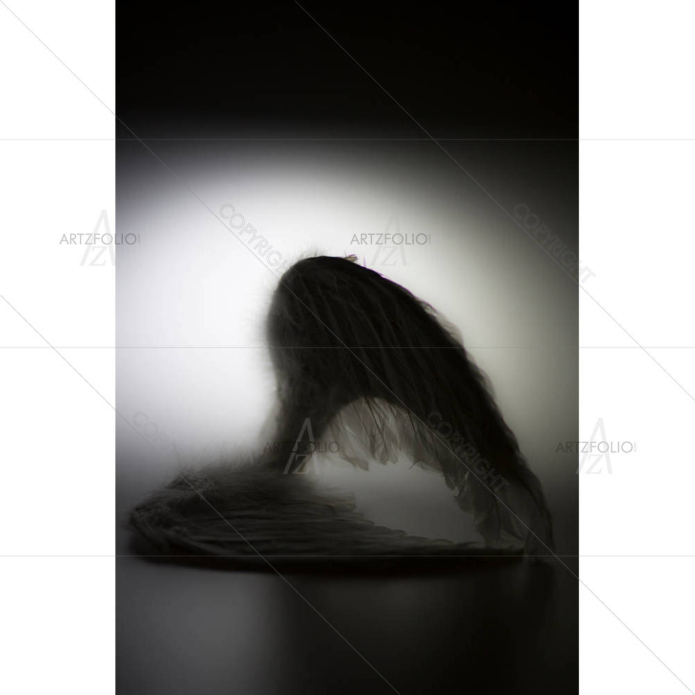 Angels Wings — custom-size art design 5003268