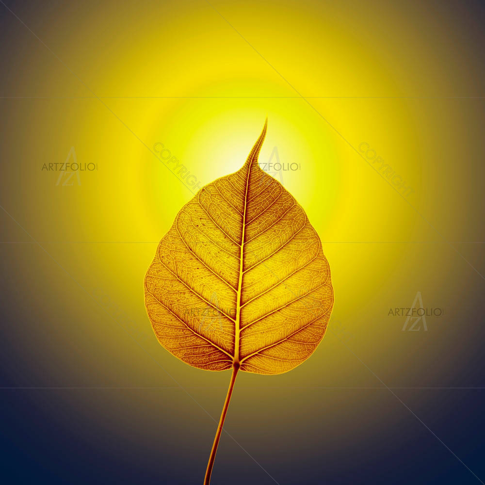 Gold Pho Or Bodhi Leaf With Halo — custom-size art design 5003485