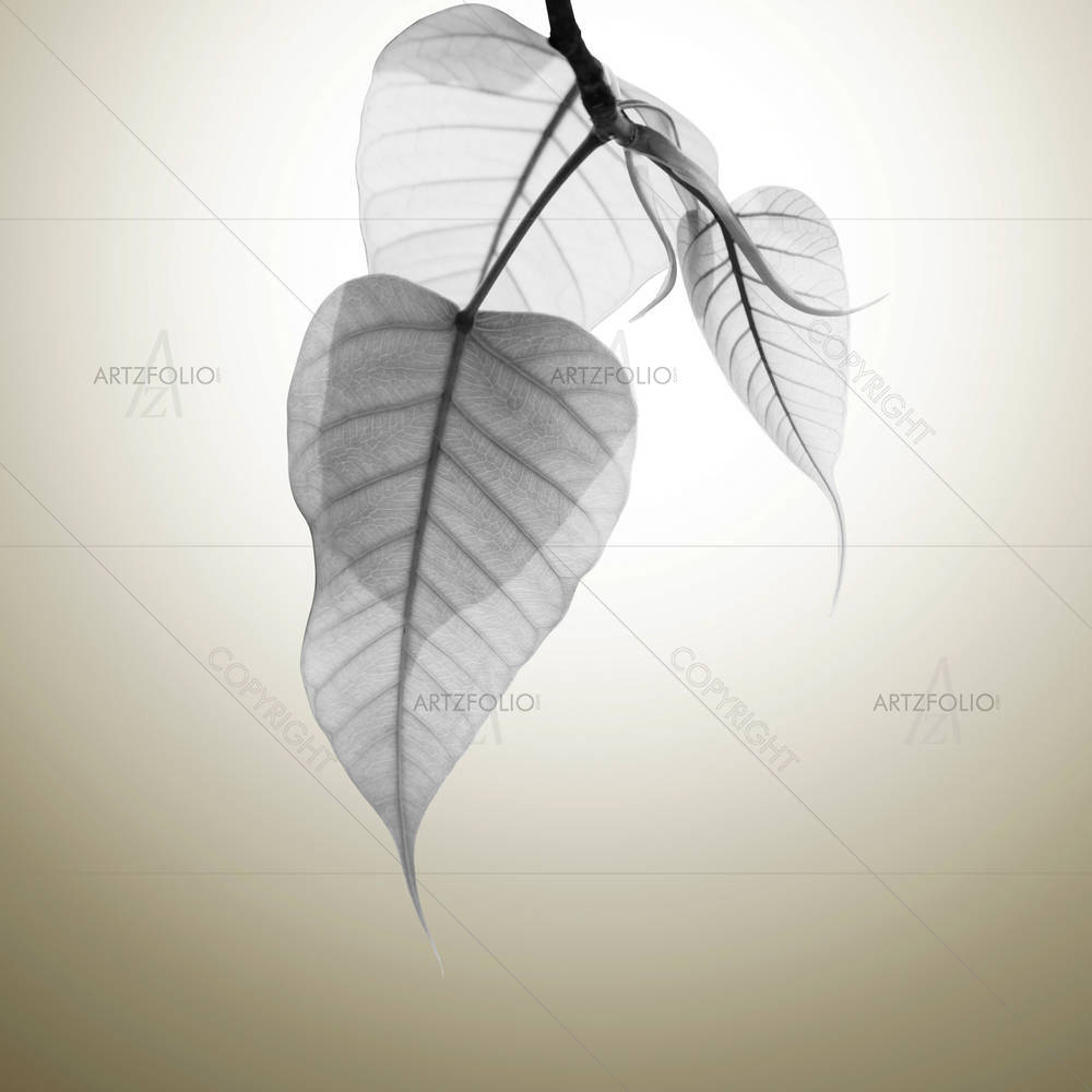 Bodhi Leaves Budding — Devotional custom art by ArtzFolio