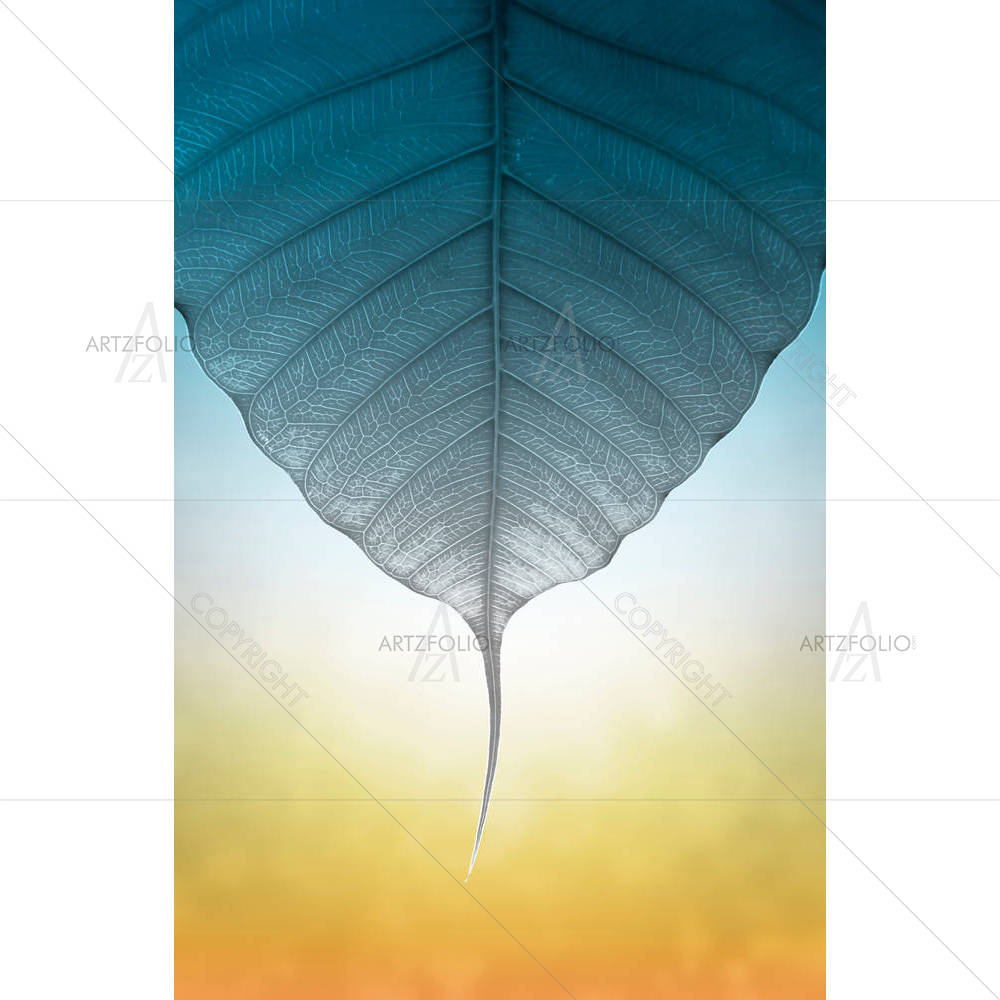 Bodhi Leaf — custom-size art design 5003488