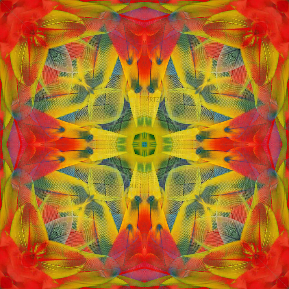 Scarlet Macaw Feathers D4 — Abstract custom art by ArtzFolio