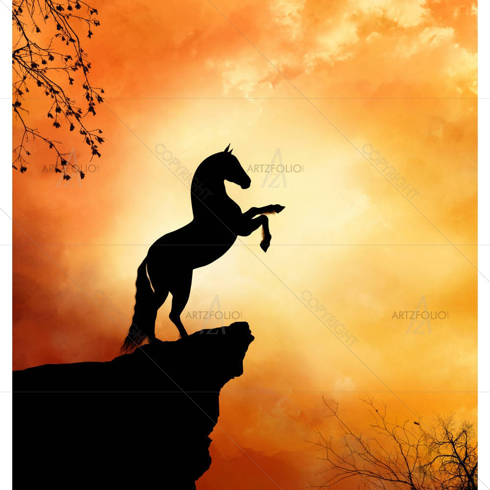 Wild Horse In A Hill — custom-size art design 5003545