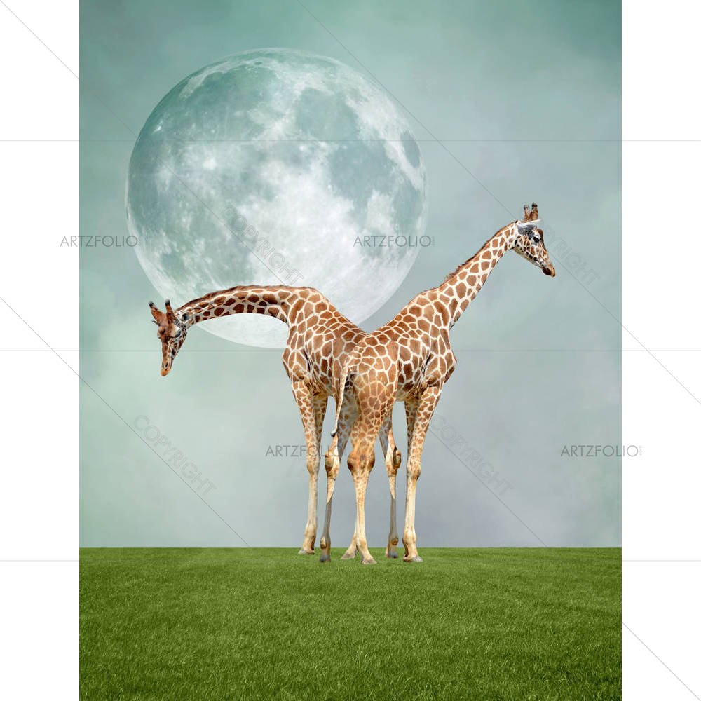 Two Giraffes D2 — custom-size art design 5003576