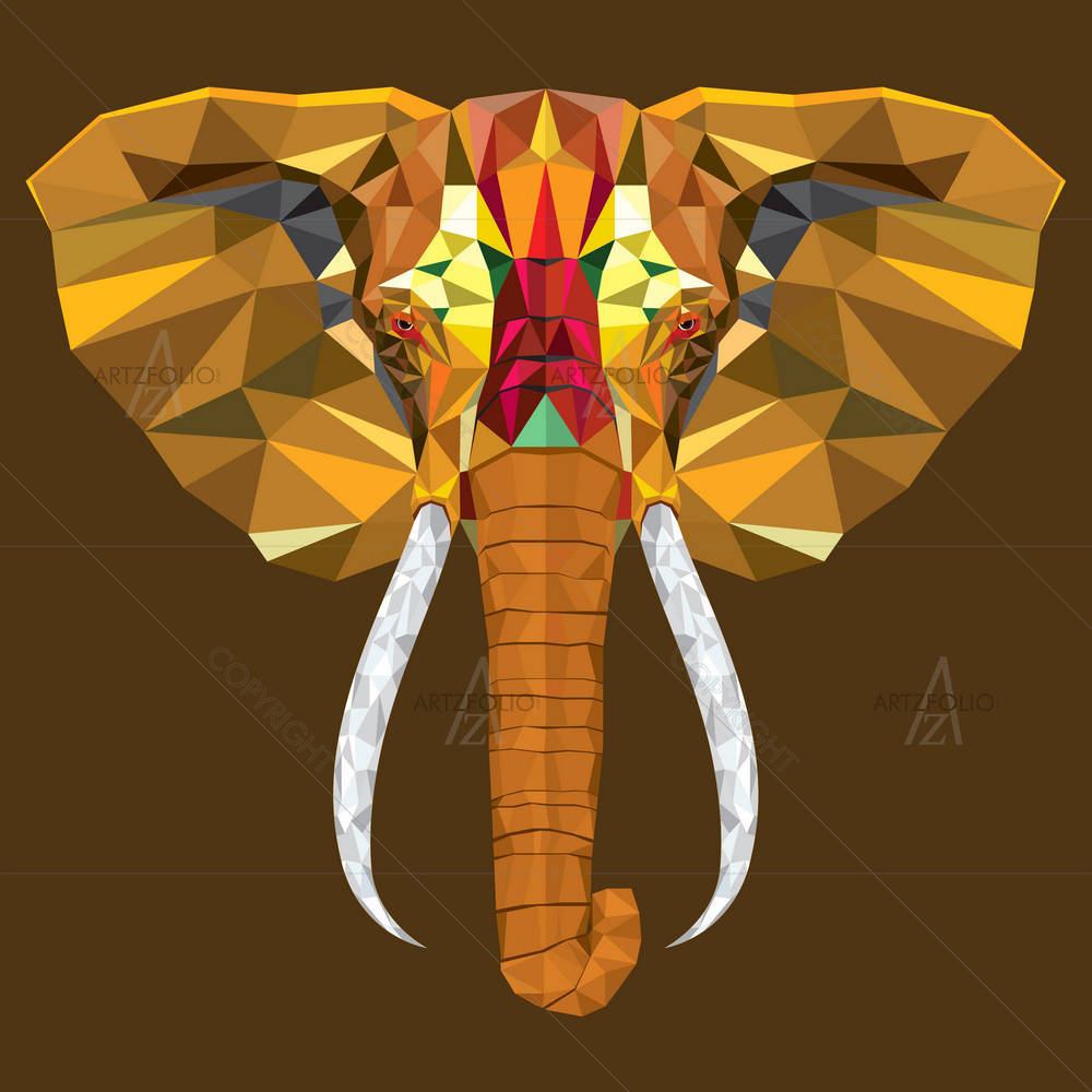 Elephant Portrait